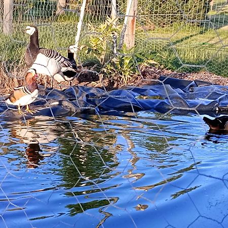 Podroze Checz Villa Charbrowo Dış mekan fotoğraf