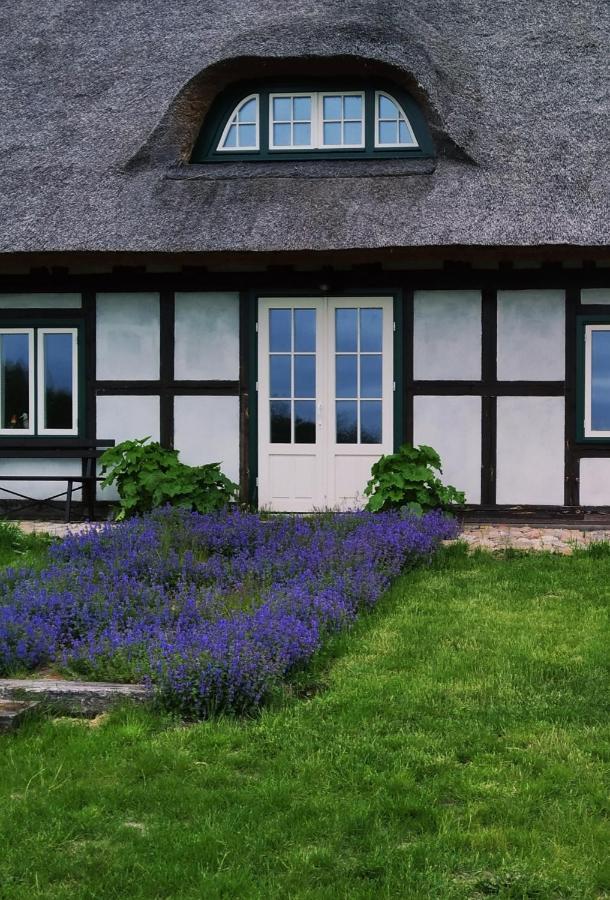 Podroze Checz Villa Charbrowo Dış mekan fotoğraf