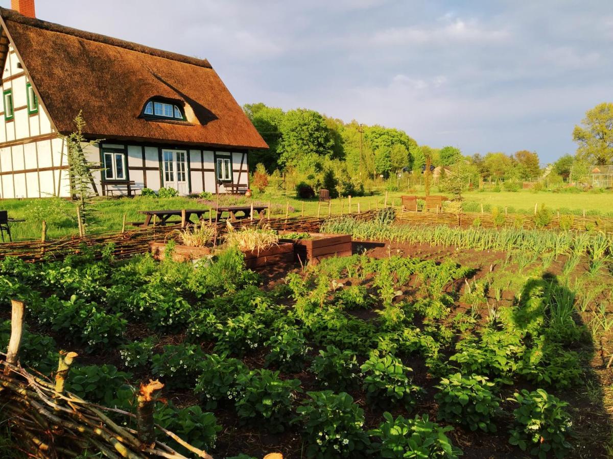 Podroze Checz Villa Charbrowo Dış mekan fotoğraf