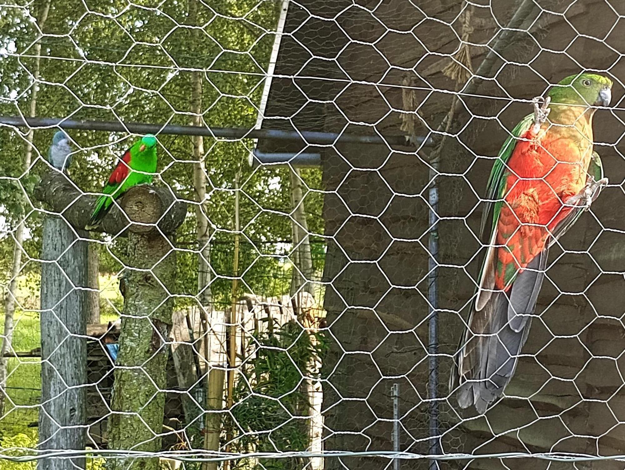 Podroze Checz Villa Charbrowo Dış mekan fotoğraf